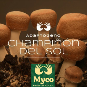 Myco - ChampiÑon Del Sol En Gotas X 60 Ml